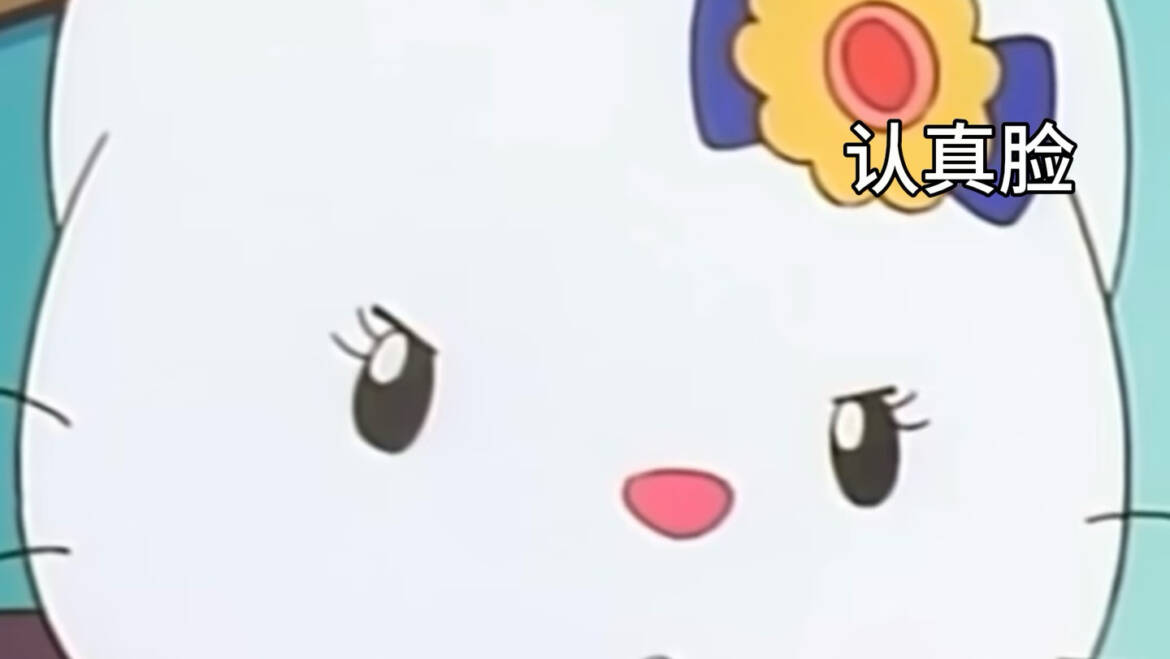 芋圆反馈